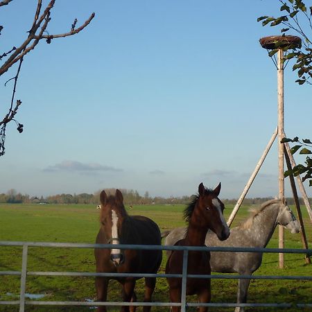 Goudriaan Boerderij "De Verwondering" מראה חיצוני תמונה