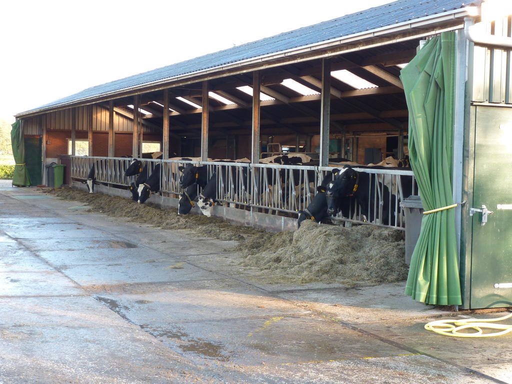 Goudriaan Boerderij "De Verwondering" מראה חיצוני תמונה