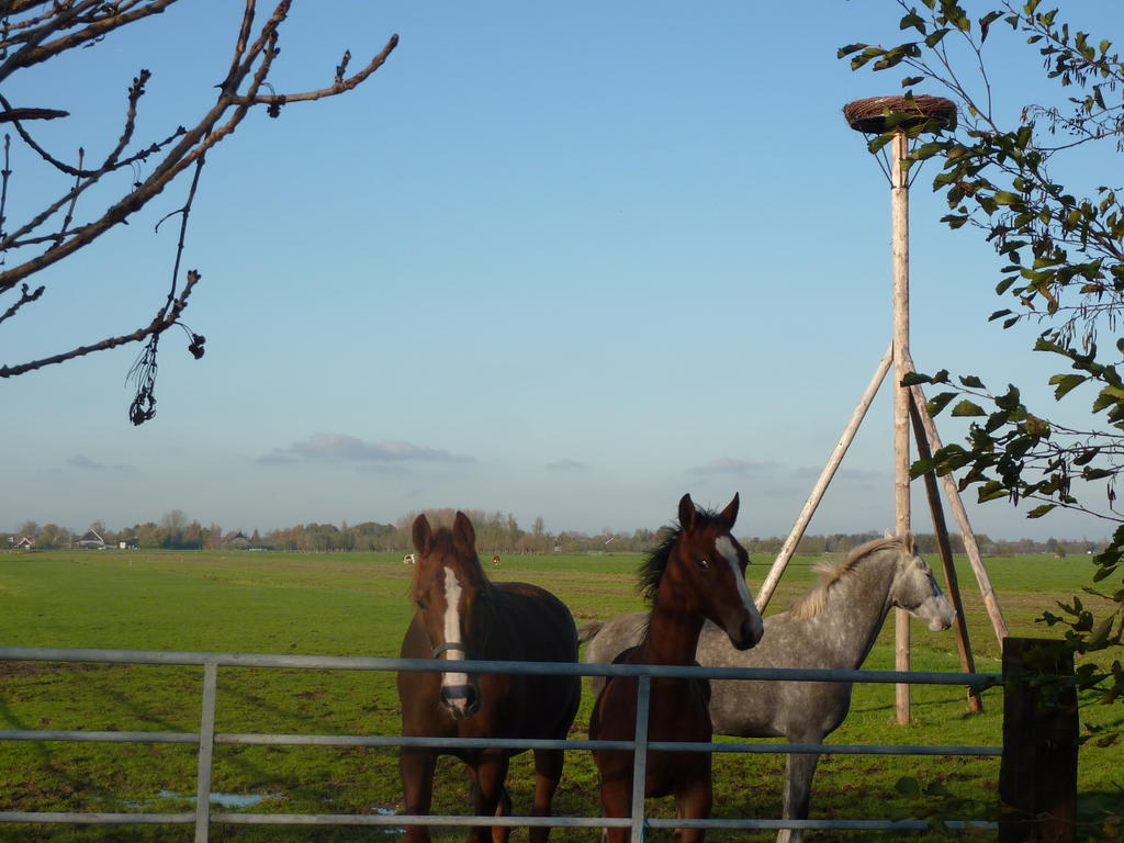 Goudriaan Boerderij "De Verwondering" מראה חיצוני תמונה