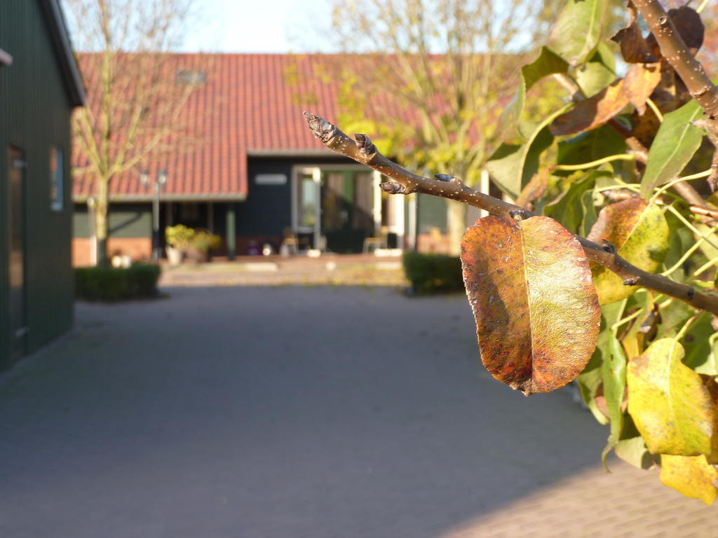 Goudriaan Boerderij "De Verwondering" מראה חיצוני תמונה