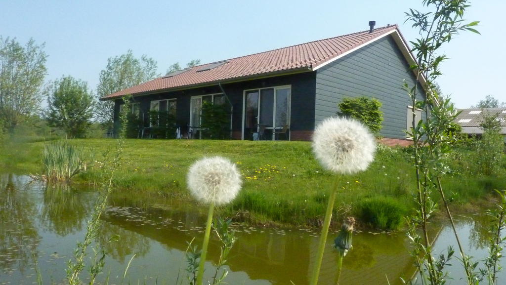 Goudriaan Boerderij "De Verwondering" מראה חיצוני תמונה