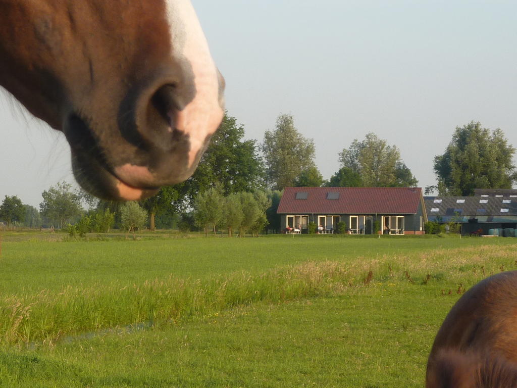 Goudriaan Boerderij "De Verwondering" מראה חיצוני תמונה
